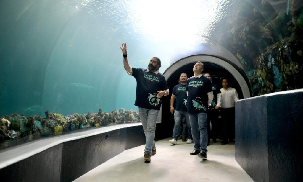 #Veracruz Aquarium Veracruz será el mejor de Latinoamérica: Cuitláhuac&nbsp;García