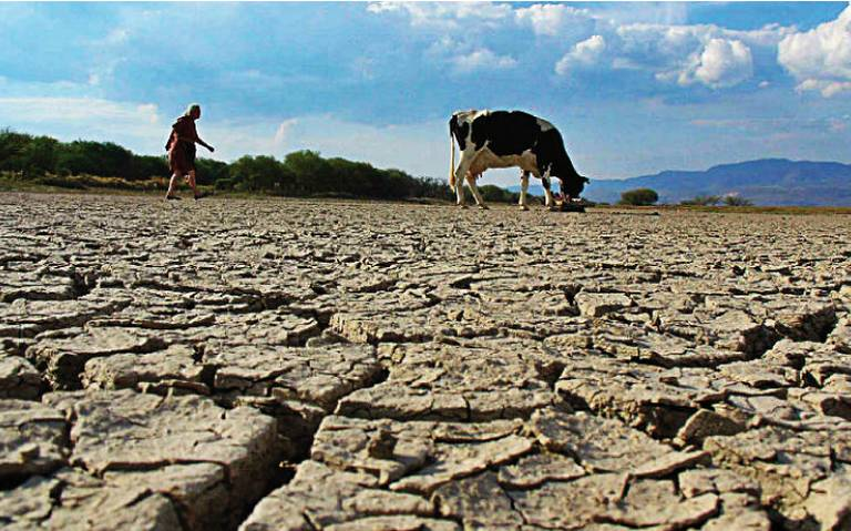 #Chiapas #México presenta 18 estados con sequía, la entidad es uno de&nbsp;ellos