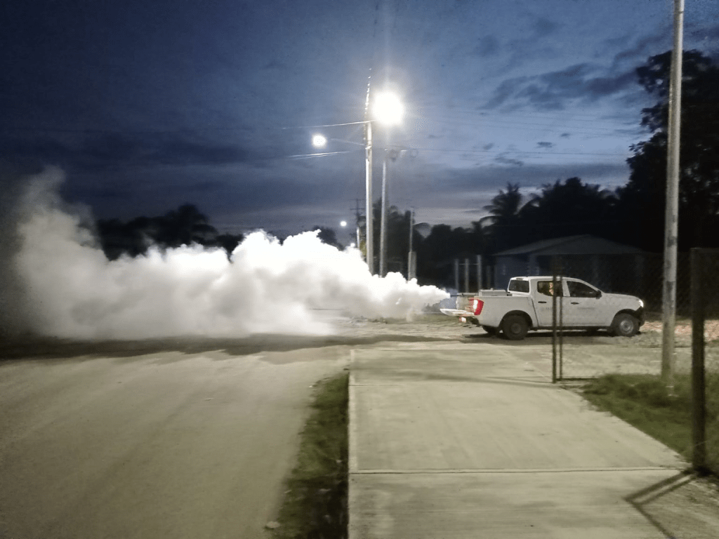 #Campeche Combate frontal de salud contra el&nbsp;dengue