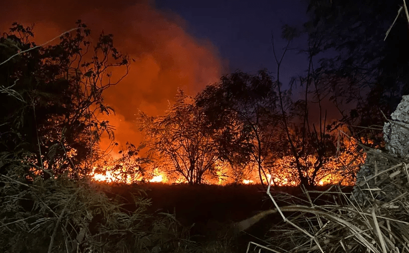 #QuintanaRoo Alertan sobre inicio de temporada crítica de incendios&nbsp;forestales