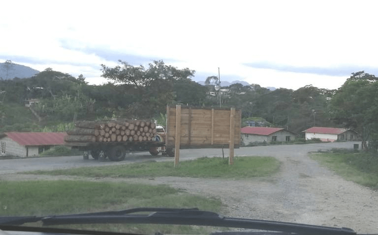 #Chiapas Castigan públicamente a joven acusado de robo en comunidad&nbsp;indígena