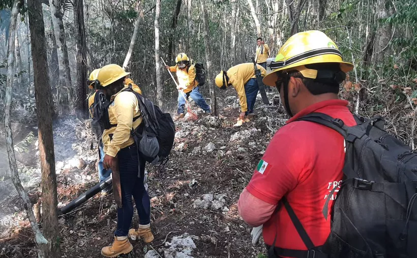 #QuintanaRoo Brigadas de #FCP se suman a labores de combate de incendios en&nbsp;#Tulum