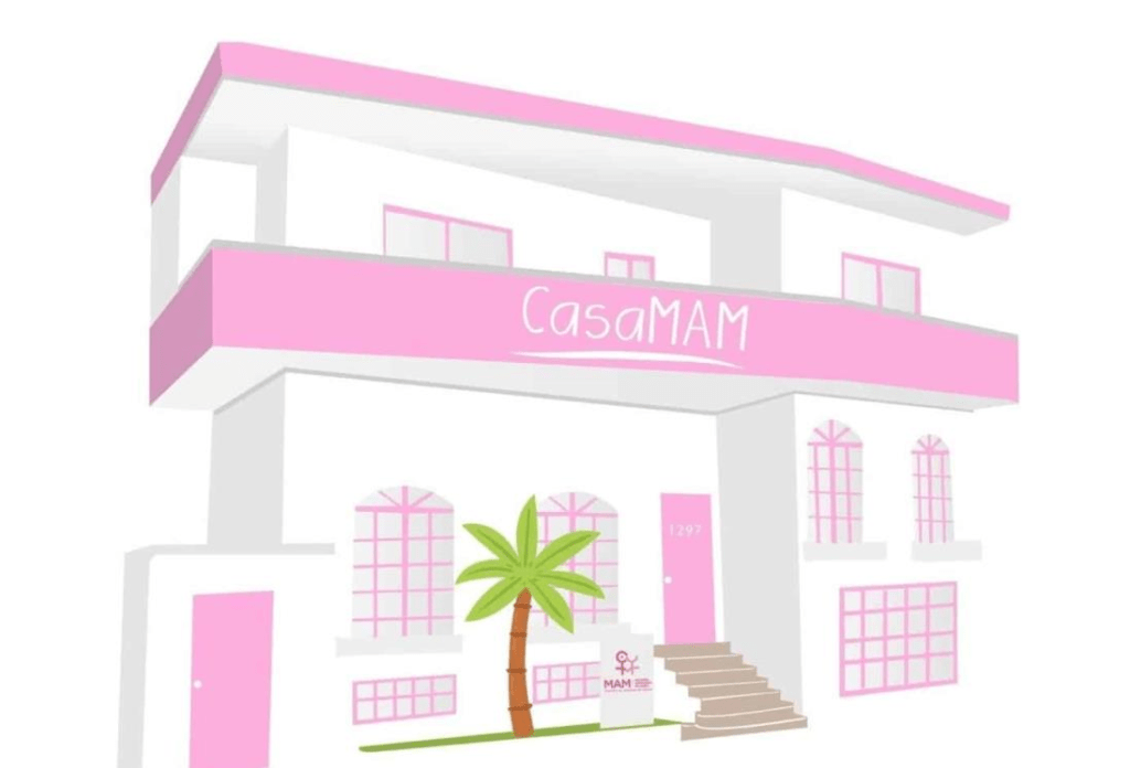 #Veracruz Buscan recaudar fondos para comprar sede de&nbsp;#CasaMAM