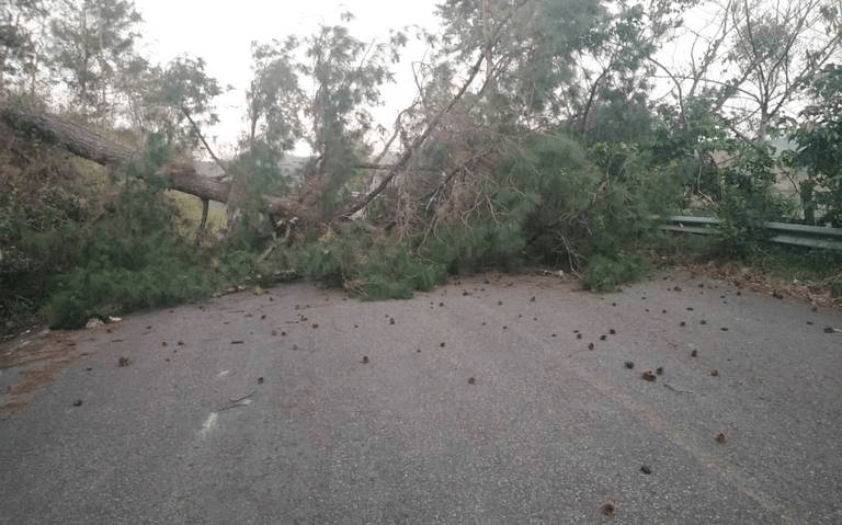 #Chiapas Pobladores bloquean accesos a #Pantelhó, exigen alto a la ola de&nbsp;violencia