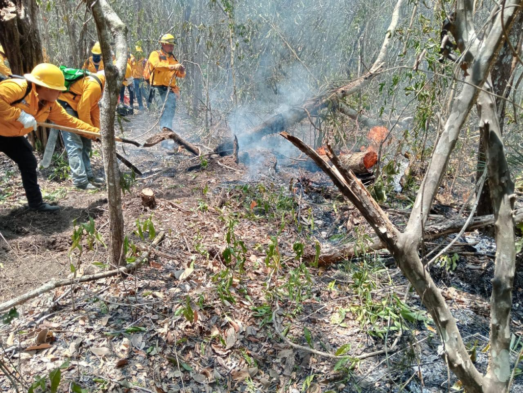 #Campeche Usan helicóptero para combatir fuego en&nbsp;#ChunEk