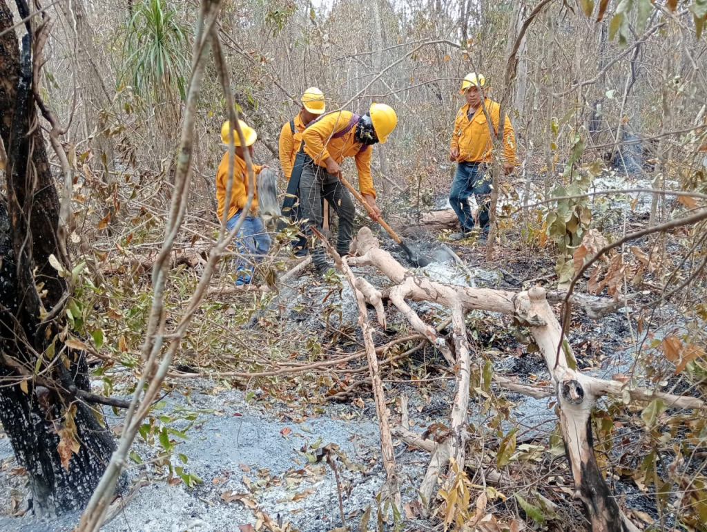 #Campeche Controlan incendio forestal en&nbsp;#ChunEk