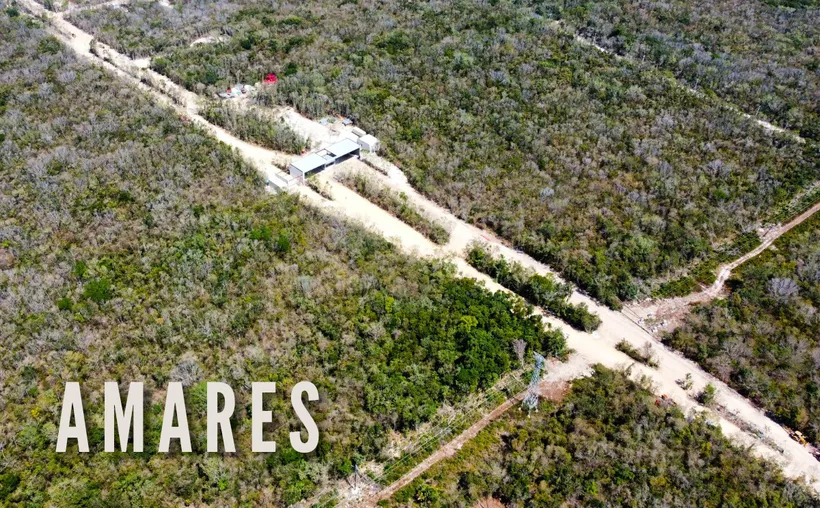 #QuintanaRoo Denuncian impacto ambiental y paleontológico por proyecto&nbsp;‘Amares’
