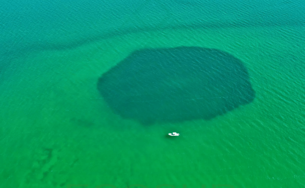 #QuintanaRoo ¡Increíble! Registran al Agujero Azul de #TaamJa’ como el más profundo del&nbsp;mundo