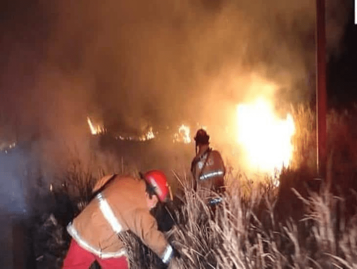 #Veracruz Combaten incendio de pastizal en&nbsp;#Alvarado