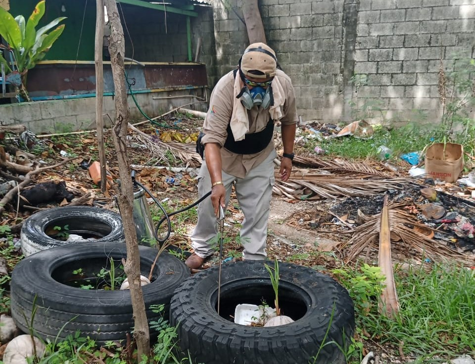 #Campeche Contabilizan más brotes de&nbsp;degue