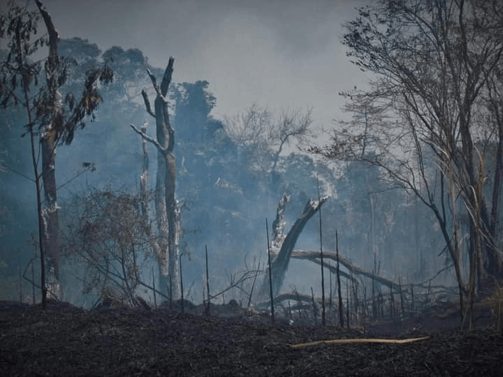 #Campeche Incendios arrasan con 3 mil&nbsp;hectáreas