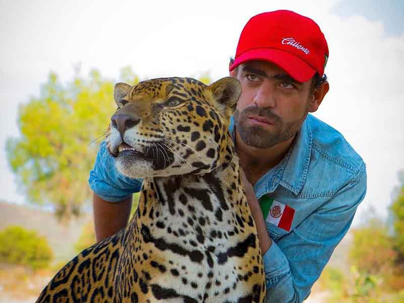 #Chiapas Millonarios por tráfico de&nbsp;especies