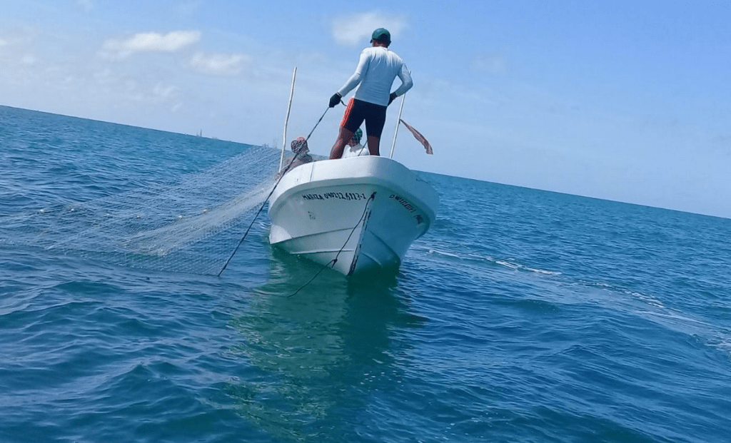 #Campeche Pescadores afectados en su captura por el&nbsp;calorón