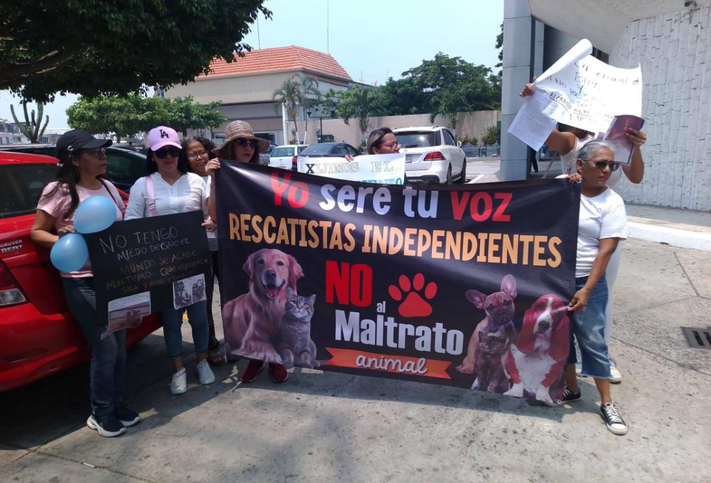 #Veracruz Se manifiestan en contra del maltrato animal en la entidad; piden se atiendan las&nbsp;quejas