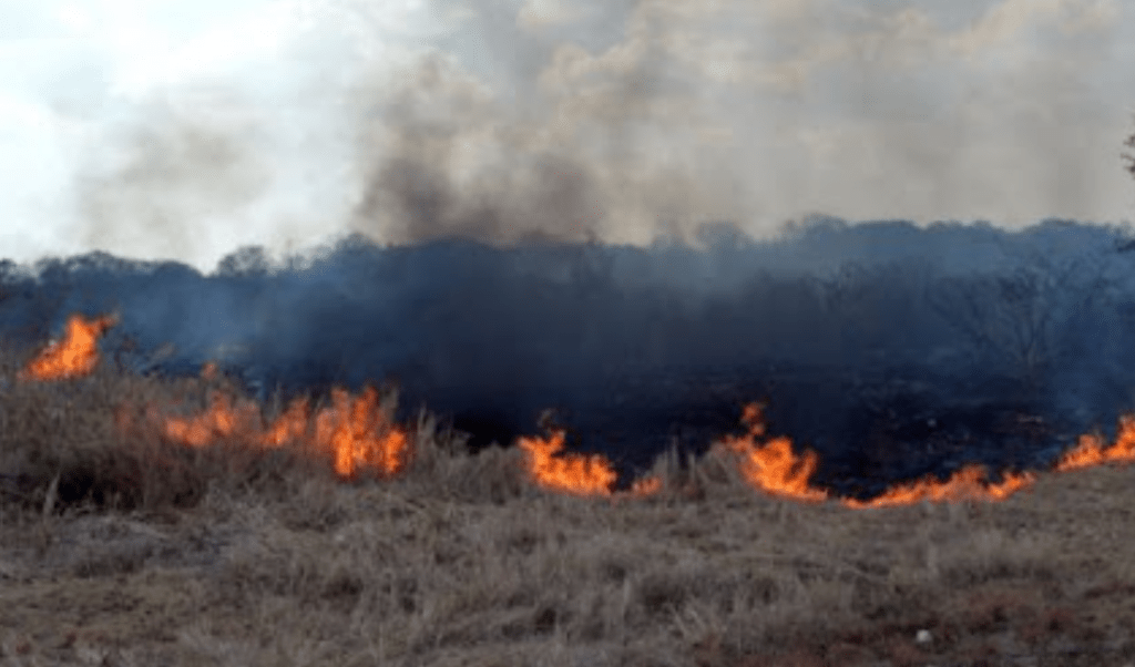 #Campeche Aumenta incendio por&nbsp;calor