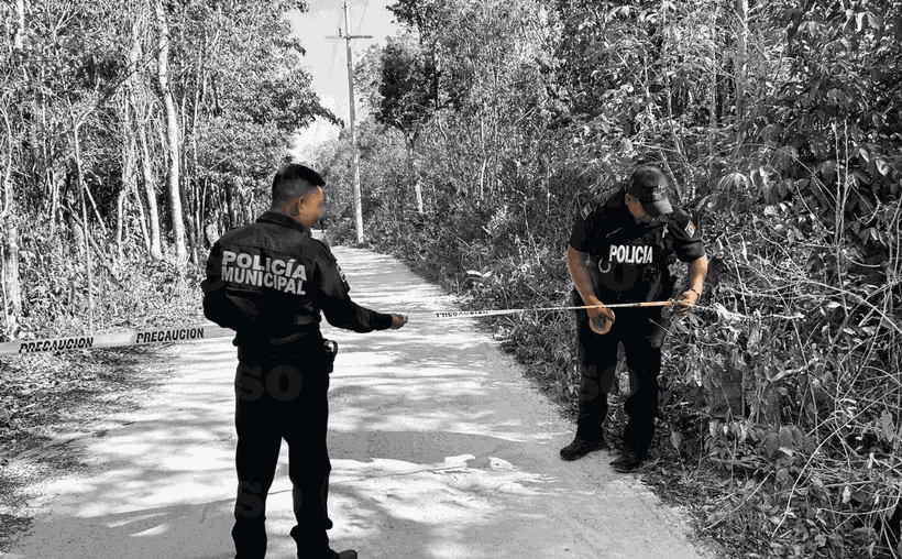 #QuintanaRoo #Solidaridad: hallan 2 cadáveres con signos de violencia en la&nbsp;selva