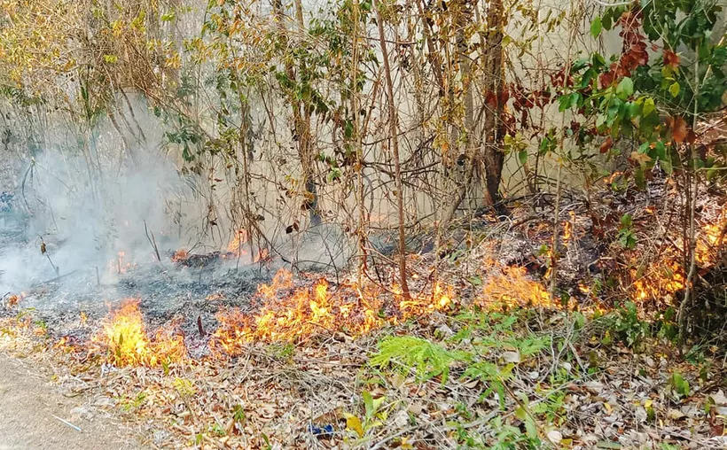 #QuintanaRoo Periodo crítico de incendios devora más de 28 mil&nbsp;hectáreas