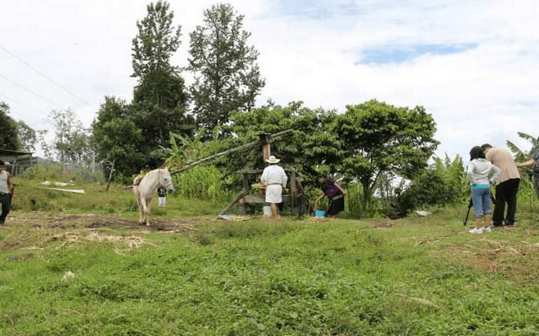 #Chiapas Comunidades indígenas de #Chenalhó demandan seguridad, paz y&nbsp;justicia