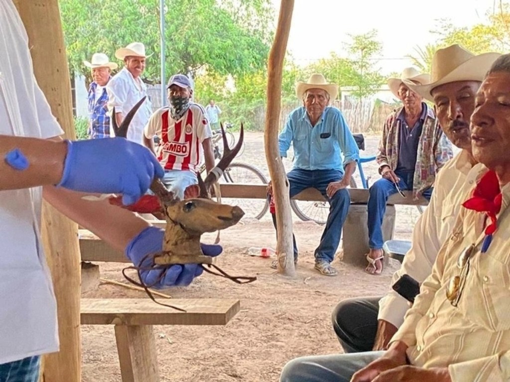 #Sonora La Corte cierra la puerta a pueblos indígenas de Sonora que impugnan reforma electoral sin&nbsp;consulta