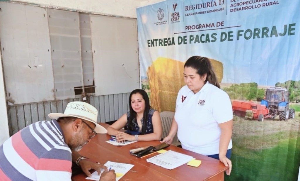 #Veracruz Beneficia ayuntamiento de Veracruz a ganaderos con forraje a bajo costo