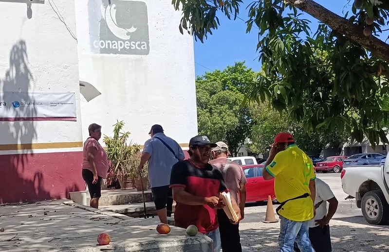 #Campeche Inpesca Campeche entregará apoyo por baja captura a partir del 1 de junio