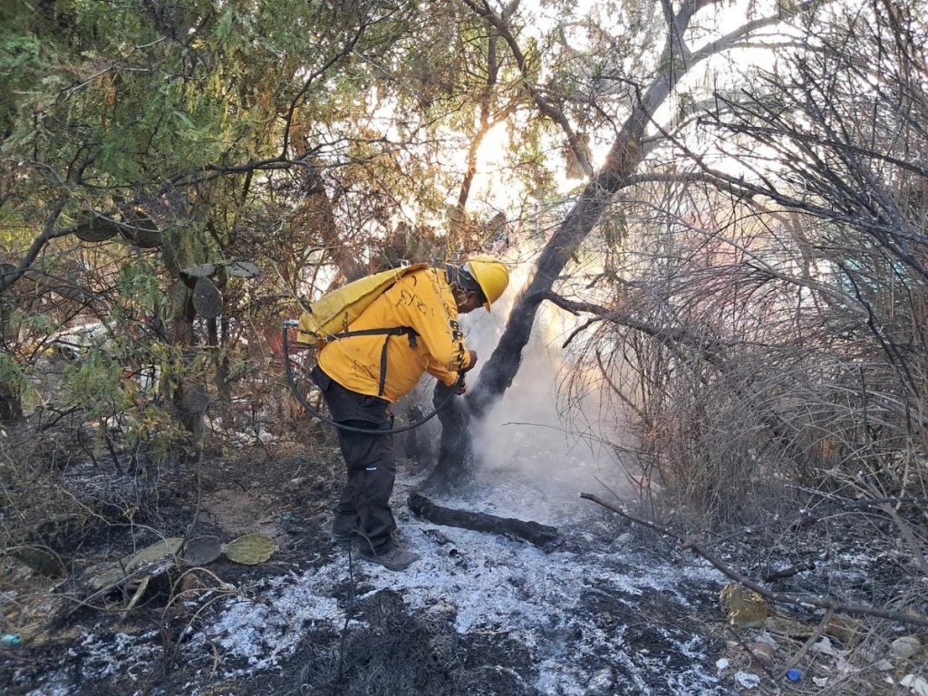 #SanLuisPotosi Sofocaron incendio forestal que ardió cinco días en&nbsp;Matehuala