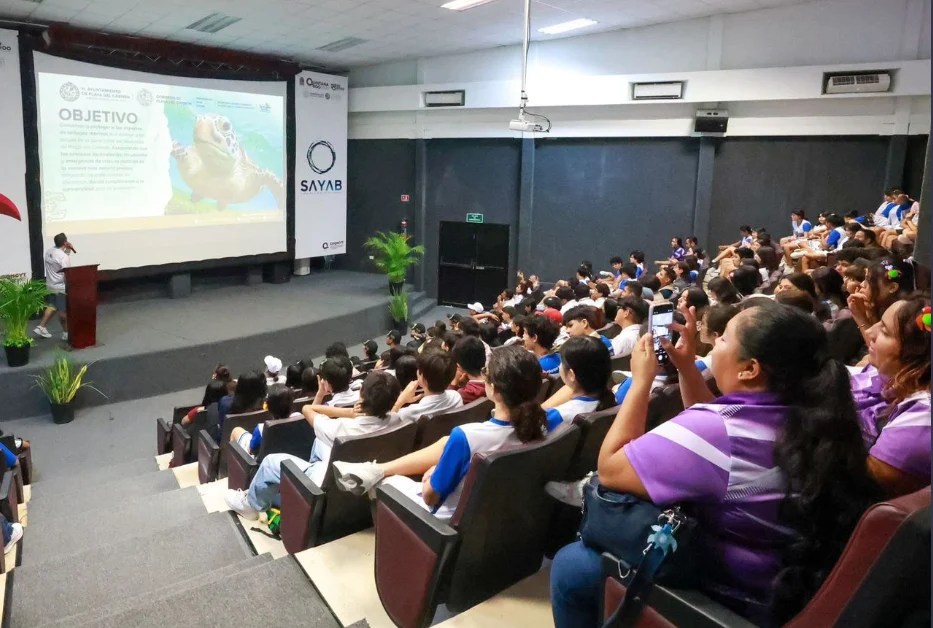 #QuintanaRoo Playa del Carmen pone en marcha el Programa Municipal de Protección y Conservación de Tortugas&nbsp;Marinas