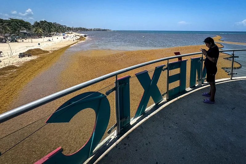 #QuintanaRoo Empresas turísticas de QRoo bajan sus tarifas hasta en 20 por ciento: Amexme