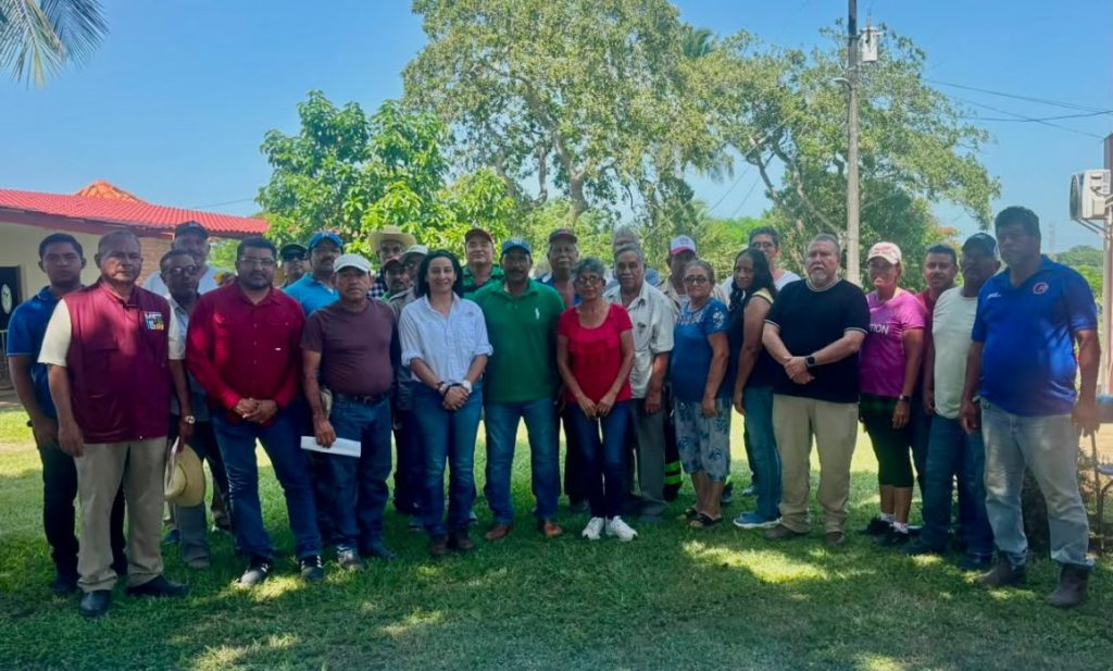 #Veracruz Gobierno de Medellín y Sedarpa escuchan necesidades de productores de&nbsp;piña