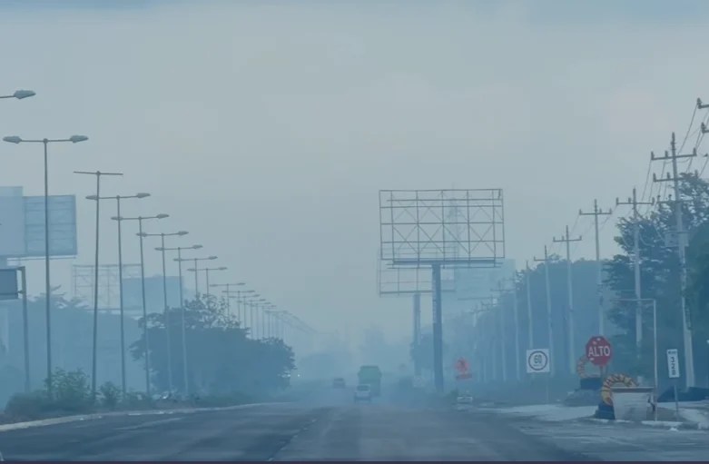 #QuintanaRoo Denuncian vecinos de Puerto Morelos daños a personas y animales por humo de incendios
