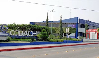 #Chiapas Regularizan Pagos Para Trabajadores Del&nbsp;Cobach