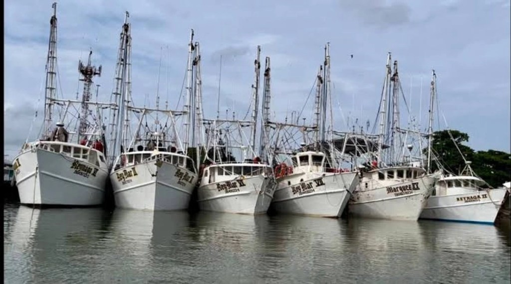 #Tamaulipas Diésel caro inmoviliza a la mitad de los barcos camaroneros de Tampico