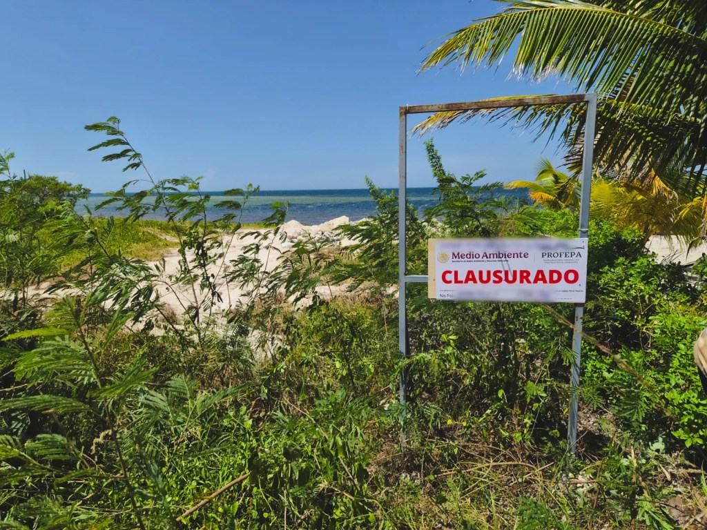 #Yucatan Profepa clausura obras en Yobaín, Yucatán, por remoción de duna costera sin autorización&nbsp;