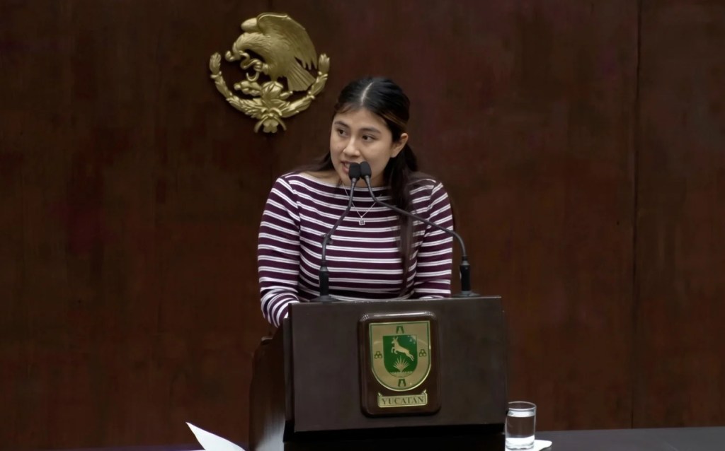 #Yucatan Buscan proteger la libertad de expresión y de protesta en Yucatán
