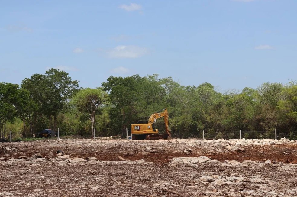 #Yucatan Reserva Cuxtal festeja aniversario bajo presión por expansión urbana en Mérida