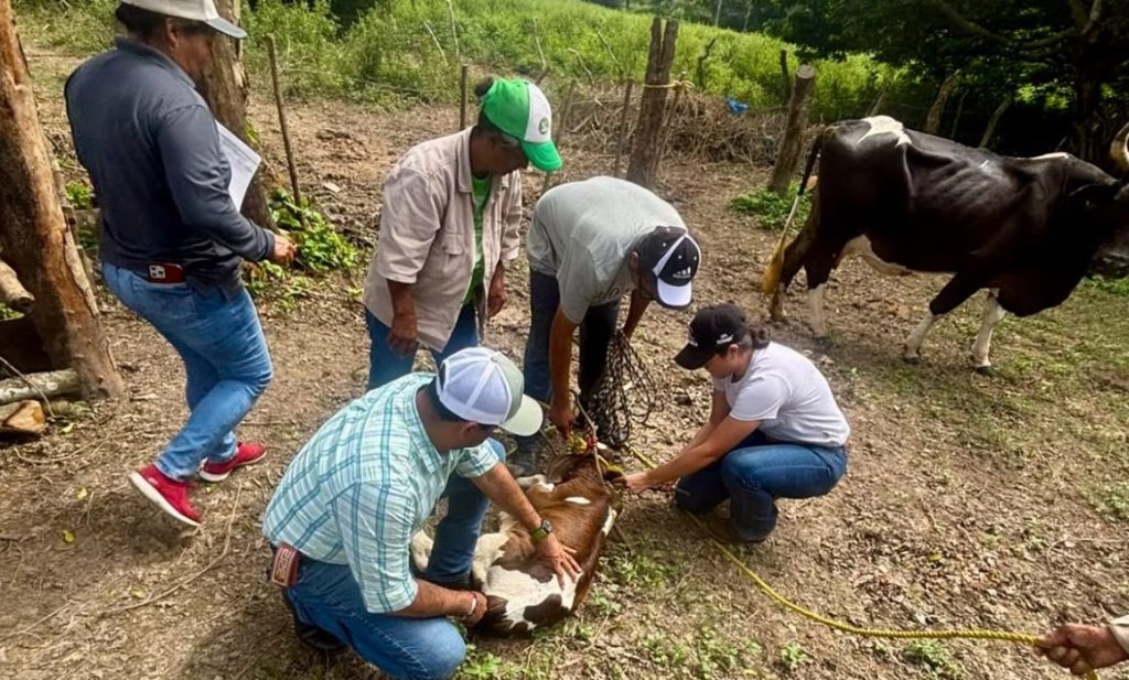 #Veracruz Refuerza Medellín de Bravo campaña de sanidad&nbsp;ganadera